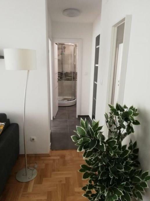Apartments Ali Загреб Екстериор снимка